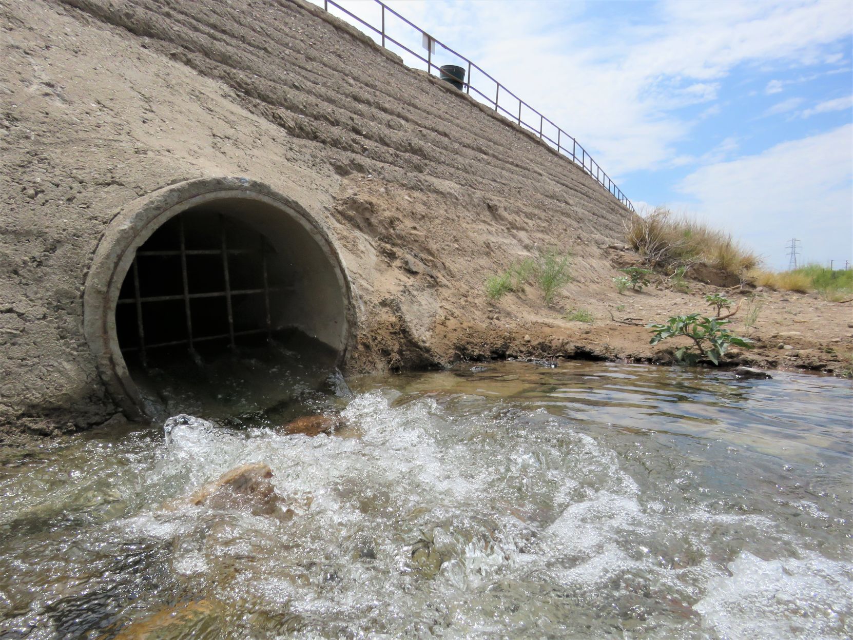Santa Cruz River